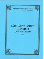 Báo cáo tài chính hợp nhất quý 3 năm 2015 - Công ty Cổ phần Sản xuất Kinh doanh Xuất nhập khẩu Bình Thạnh