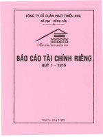 Báo cáo tài chính công ty mẹ quý 1 năm 2016 - Công ty Cổ phần Phát triển nhà Bà Rịa-Vũng Tàu