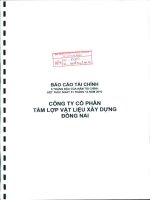 Báo cáo tài chính quý 2 năm 2010 (đã kiểm toán) - Công ty Cổ phần Tấm lợp Vật liệu xây dựng Đồng Nai