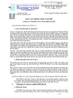 Báo cáo thường niên năm 2007 - Công ty Cổ phần HACISCO