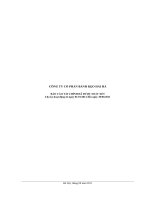 Báo cáo tài chính quý 2 năm 2011 (đã soát xét) - Công ty Cổ phần Bánh kẹo Hải Hà