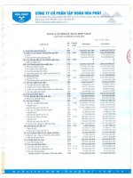 Báo cáo tài chính hợp nhất quý 2 năm 2012 - Công ty cổ phần Tập đoàn Hòa Phát