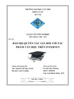 Bảo hộ quyền tác giả đối với tác phẩm văn học trên internet