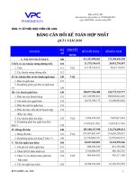 Báo cáo tài chính hợp nhất quý 1 năm 2010 - Công ty Cổ phần Dược phẩm Cửu Long