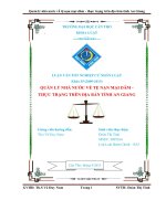 Quản lý nhà nước về tệ nạn mại dâm thực trạng trên địa bàn tỉnh an giang