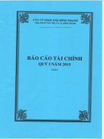 Báo cáo tài chính công ty mẹ quý 1 năm 2015 - Công ty Cổ phần Sản xuất Kinh doanh Xuất nhập khẩu Bình Thạnh