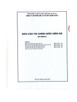 Báo cáo tài chính công ty mẹ quý 1 năm 2013 - Công ty cổ phần Đầu tư và Xây dựng HUD3