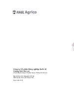 Báo cáo tài chính công ty mẹ quý 2 năm 2015 - Công ty cổ phần Nông nghiệp Quốc tế Hoàng Anh Gia Lai