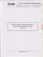 Báo cáo tài chính công ty mẹ quý 4 năm 2010 - Công ty Cổ phần Tập đoàn Nhựa Đông Á
