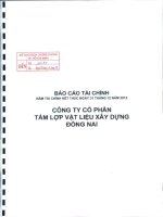 Báo cáo tài chính năm 2012 (đã kiểm toán) - Công ty Cổ phần Tấm lợp Vật liệu xây dựng Đồng Nai