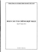 Báo cáo tài chính hợp nhất quý 4 năm 2014 - Tổng Công ty cổ phần Thiết bị điện Việt Nam