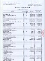 Báo cáo tài chính quý 3 năm 2013 - Công ty TNHH MTV Chứng khoán Ngân hàng Đông Á