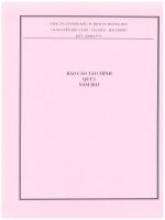 Báo cáo tài chính quý 1 năm 2013 - Công ty Cổ phần Đầu tư Dịch vụ Hoàng Huy
