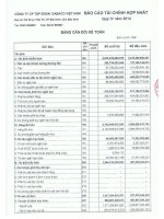 Báo cáo tài chính quý 4 năm 2014 - Công ty Cổ phần Tập đoàn Dabaco Việt Nam