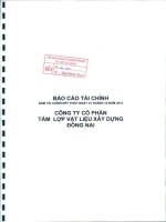 Báo cáo tài chính năm 2011 (đã kiểm toán) - Công ty Cổ phần Tấm lợp Vật liệu xây dựng Đồng Nai