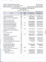 Báo cáo tài chính hợp nhất quý 1 năm 2016 - Công ty Cổ phần Nông dược H.A.I