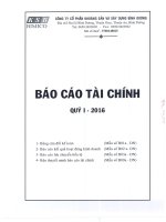 Báo cáo tài chính quý 1 năm 2016 - Công ty Cổ phần Khoáng sản và Xây dựng Bình Dương