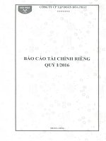 Báo cáo tài chính công ty mẹ quý 1 năm 2016 - Công ty cổ phần Tập đoàn Hòa Phát
