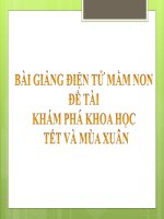 Bài giảng điện tử mầm non lớp Lá đề tài Khám phá khoa học – Tết và mùa xuân