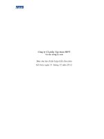 Báo cáo tài chính hợp nhất năm 2012 (đã kiểm toán) - Công ty Cổ phần Tập đoàn HIPT
