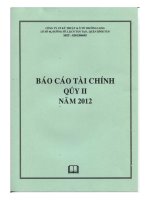 Báo cáo tài chính quý 2 năm 2012 - Công ty Cổ phần Kỹ thuật và Ô tô Trường Long