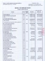 Báo cáo tài chính quý 1 năm 2013 - Công ty Cổ phần Máy - Thiết bị Dầu khí Đà Nẵng