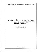 Báo cáo tài chính hợp nhất quý 4 năm 2013 - Tổng Công ty cổ phần Thiết bị điện Việt Nam