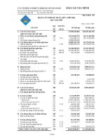 Báo cáo tài chính quý 4 năm 2009 - Công ty cổ phần Cơ khí và Khoáng sản Hà Giang