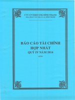 Báo cáo tài chính hợp nhất quý 4 năm 2014 - Công ty Cổ phần Sản xuất Kinh doanh Xuất nhập khẩu Bình Thạnh
