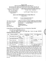 Báo cáo tình hình quản trị công ty - Công ty Cổ phần Đầu tư phát triển hạ tầng IDICO