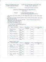 Báo cáo tình hình quản trị công ty - Công ty Cổ phần Bột giặt và Hoá chất Đức Giang