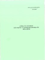 Báo cáo tài chính công ty mẹ quý 4 năm 2015 - Công ty cổ phần Xây dựng và Kinh doanh Địa ốc Hoà Bình