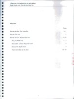 Báo cáo tài chính năm 2012 (đã kiểm toán) - Công ty Cổ phần Cao su Hòa Bình