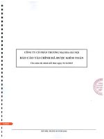 Báo cáo tài chính năm 2015 (đã kiểm toán) - Công ty Cổ phần Thương mại Bia Hà Nội