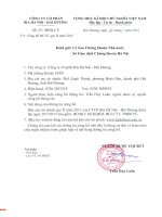 Báo cáo tài chính quý 2 năm 2015 - Công ty Cổ phần Bia Hà Nội - Hải Dương