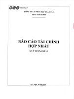 Báo cáo tài chính hợp nhất quý 2 năm 2015 - Công ty cổ phần Tập đoàn FLC