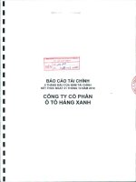 Báo cáo tài chính công ty mẹ quý 2 năm 2010 (đã soát xét) - Công ty Cổ phần Dịch vụ Ô tô Hàng Xanh