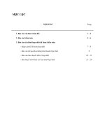 Báo cáo tài chính hợp nhất năm 2010 (đã kiểm toán) - Công ty Cổ phần Đầu tư - Xây dựng Hà Nội