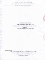 Báo cáo tài chính công ty mẹ năm 2015 (đã kiểm toán) - Công ty Cổ phần Nông dược H.A.I