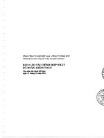 Báo cáo tài chính hợp nhất năm 2010 (đã kiểm toán) - Tổng Công ty Khí Việt Nam-CTCP