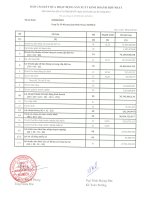 Báo cáo KQKD quý 2 năm 2010 - Công ty Cổ phần Công nghiệp Khoáng sản Bình Thuận