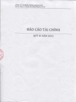 Báo cáo tài chính quý 3 năm 2015 - Công ty Cổ phần Chứng khoán FPT