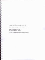 Báo cáo tài chính năm 2013 (đã kiểm toán) - Công ty cổ phần Thế giới số