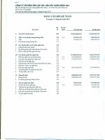 Báo cáo tài chính quý 1 năm 2015 - Công ty Cổ phần Tấm lợp Vật liệu xây dựng Đồng Nai