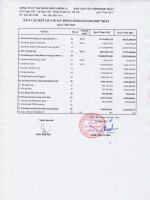 Báo cáo KQKD hợp nhất quý 1 năm 2012 - Công ty Cổ phần Tập đoàn Nhựa Đông Á