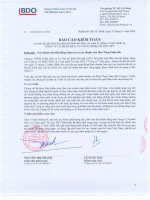 Báo cáo tài chính năm 2008 (đã kiểm toán) - Công ty Cổ phần Dịch vụ Công nghệ Tin học HPT