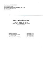 Báo cáo tài chính công ty mẹ quý 4 năm 2014 - Công ty Cổ phần Tập đoàn Hoa Sen