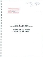 Báo cáo tài chính năm 2010 (đã kiểm toán) - Công ty Cổ phần Vận tải Hà Tiên