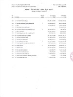 Báo cáo tài chính hợp nhất quý 4 năm 2012 - Công ty Cổ phần Tập đoàn Hapaco