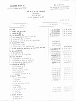 Báo cáo tài chính quý 3 năm 2009 - Ngân hàng Thương mại Cổ phần Xuất nhập khẩu Việt Nam